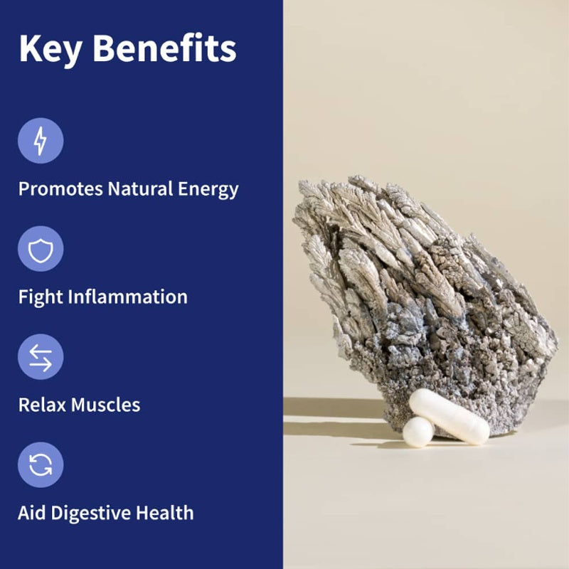 BSYS Magnesium Supplements Sleep & Anxiety Relief Aid  Muscle Relaxation Support  Heart Health & Blood Sugar Balance Formula  Cognitive Function Enhancement  Nighttime Wellness Supplement